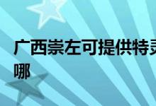 广西崇左可提供特灵中央空调维修服务地址在哪