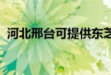 河北邢台可提供东芝冰箱维修服务地址在哪