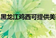 黑龙江鸡西可提供美菱冰箱维修服务地址在哪