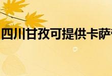 四川甘孜可提供卡萨帝冰箱维修服务地址在哪