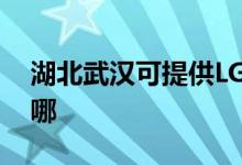 湖北武汉可提供LG中央空调维修服务地址在哪