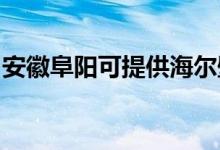 安徽阜阳可提供海尔壁挂炉维修服务地址在哪