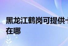 黑龙江鹤岗可提供卡萨帝洗衣机维修服务地址在哪