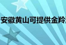 安徽黄山可提供金羚洗衣机维修服务地址在哪