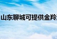 山东聊城可提供金羚洗衣机维修服务地址在哪