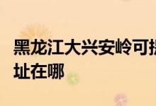 黑龙江大兴安岭可提供康佳洗衣机维修服务地址在哪