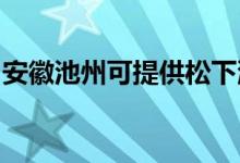 安徽池州可提供松下洗衣机维修服务地址在哪