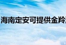 海南定安可提供金羚洗衣机维修服务地址在哪