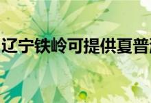 辽宁铁岭可提供夏普洗衣机维修服务地址在哪