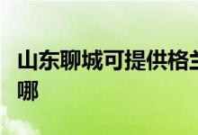 山东聊城可提供格兰仕洗衣机维修服务地址在哪