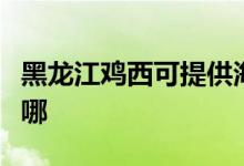 黑龙江鸡西可提供海信洗衣机维修服务地址在哪