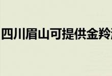 四川眉山可提供金羚洗衣机维修服务地址在哪