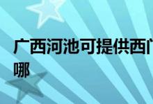 广西河池可提供西门子洗衣机维修服务地址在哪