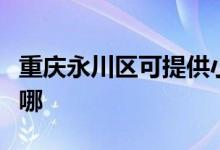 重庆永川区可提供小鸭洗衣机维修服务地址在哪