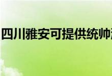 四川雅安可提供统帅洗衣机维修服务地址在哪