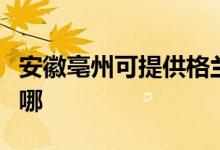 安徽亳州可提供格兰仕洗衣机维修服务地址在哪