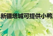 新疆塔城可提供小鸭洗衣机维修服务地址在哪