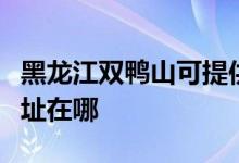 黑龙江双鸭山可提供澳柯玛洗衣机维修服务地址在哪