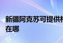 新疆阿克苏可提供格兰仕洗衣机维修服务地址在哪