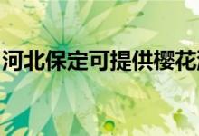 河北保定可提供樱花洗衣机维修服务地址在哪