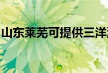 山东莱芜可提供三洋洗衣机维修服务地址在哪