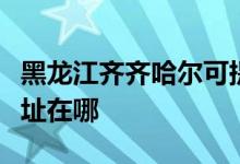 黑龙江齐齐哈尔可提供松下洗衣机维修服务地址在哪