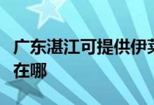 广东湛江可提供伊莱克斯洗衣机维修服务地址在哪