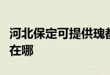 河北保定可提供瑰都啦咪壁挂炉维修服务地址在哪