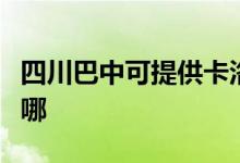 四川巴中可提供卡洛力壁挂炉维修服务地址在哪