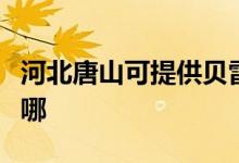 河北唐山可提供贝雷塔壁挂炉维修服务地址在哪