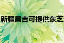 新疆昌吉可提供东芝洗碗机维修服务地址在哪