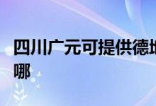 四川广元可提供德地氏壁挂炉维修服务地址在哪