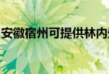 安徽宿州可提供林内壁挂炉维修服务地址在哪