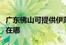 广东佛山可提供伊莱克斯洗碗机维修服务地址在哪