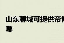 山东聊城可提供帝博仕壁挂炉维修服务地址在哪