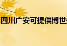 四川广安可提供博世壁挂炉维修服务地址在哪