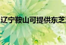 辽宁鞍山可提供东芝洗碗机维修服务地址在哪