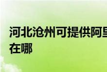 河北沧州可提供阿里斯顿壁挂炉维修服务地址在哪