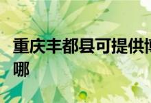 重庆丰都县可提供博世壁挂炉维修服务地址在哪