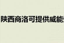 陕西商洛可提供威能壁挂炉维修服务地址在哪