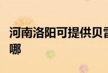 河南洛阳可提供贝雷塔壁挂炉维修服务地址在哪