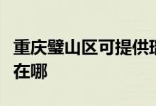 重庆璧山区可提供瑞帝安壁挂炉维修服务地址在哪