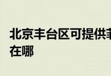 北京丰台区可提供菲斯曼壁挂炉维修服务地址在哪