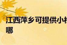 江西萍乡可提供小松鼠壁挂炉维修服务地址在哪