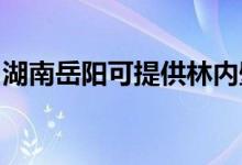 湖南岳阳可提供林内壁挂炉维修服务地址在哪