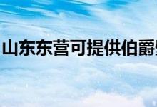 山东东营可提供伯爵壁挂炉维修服务地址在哪