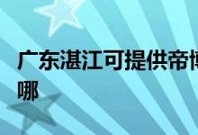 广东湛江可提供帝博仕壁挂炉维修服务地址在哪