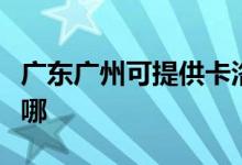 广东广州可提供卡洛力壁挂炉维修服务地址在哪