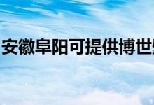 安徽阜阳可提供博世壁挂炉维修服务地址在哪