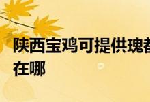 陕西宝鸡可提供瑰都啦咪壁挂炉维修服务地址在哪